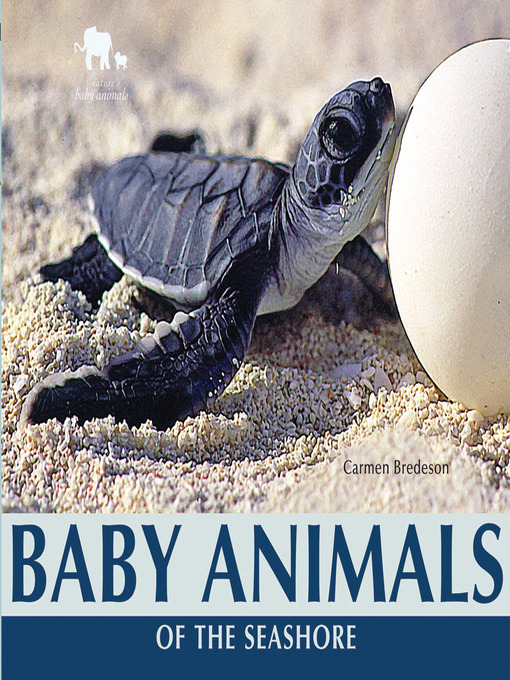 Title details for Baby Animals of the Seashore by Carmen Bredeson - Available